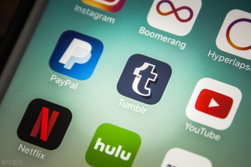 軟件開(kāi)發(fā)過(guò)程的關(guān)鍵步驟與信息咨詢服務(wù)的融合實(shí)踐