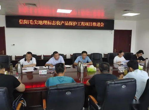 河南信陽召開毛尖地理標(biāo)志保護(hù)推進(jìn)會(huì)，筑牢產(chǎn)業(yè)發(fā)展根基